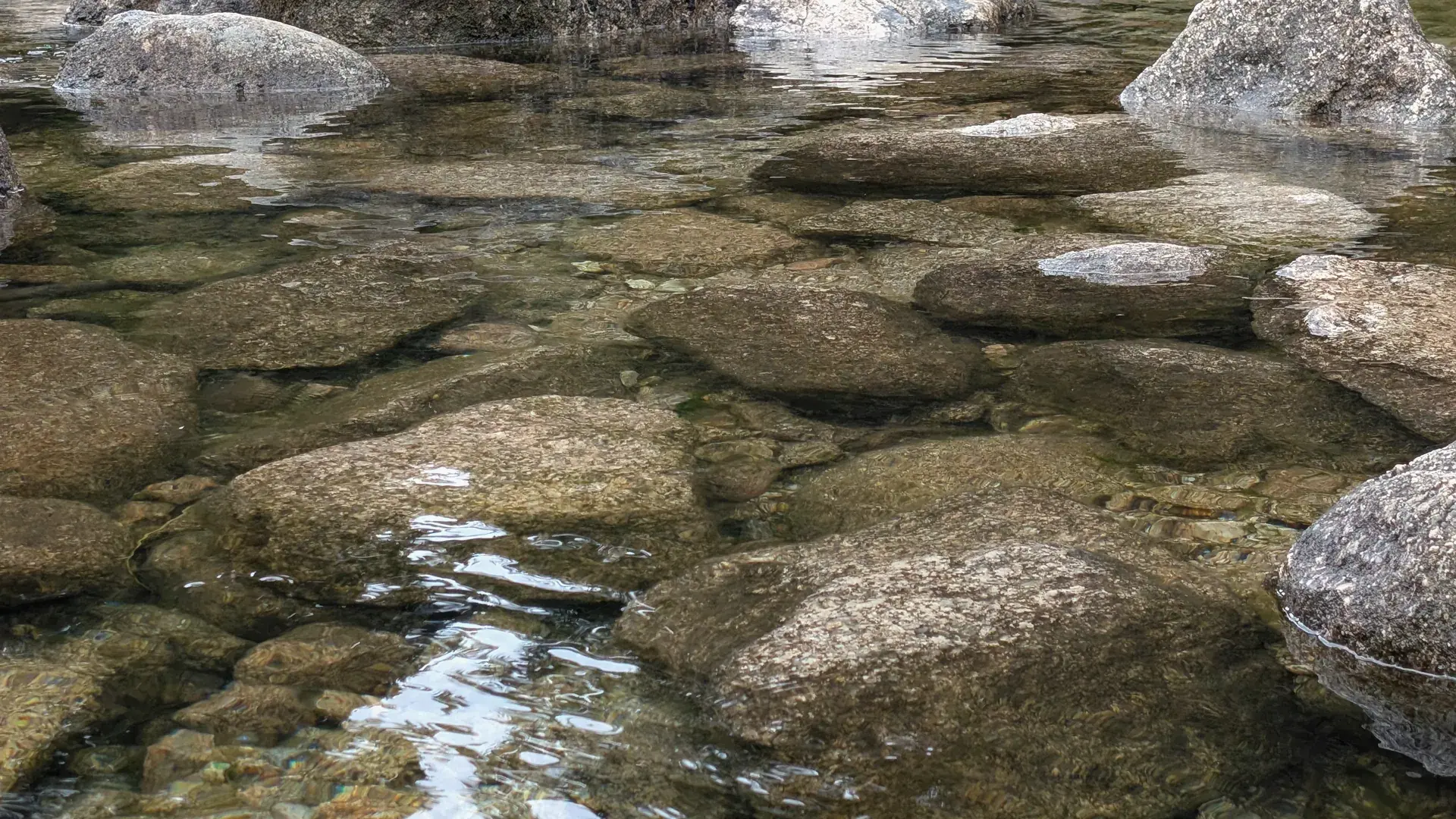 Steine in klarem, ruhig fließendem Wasser