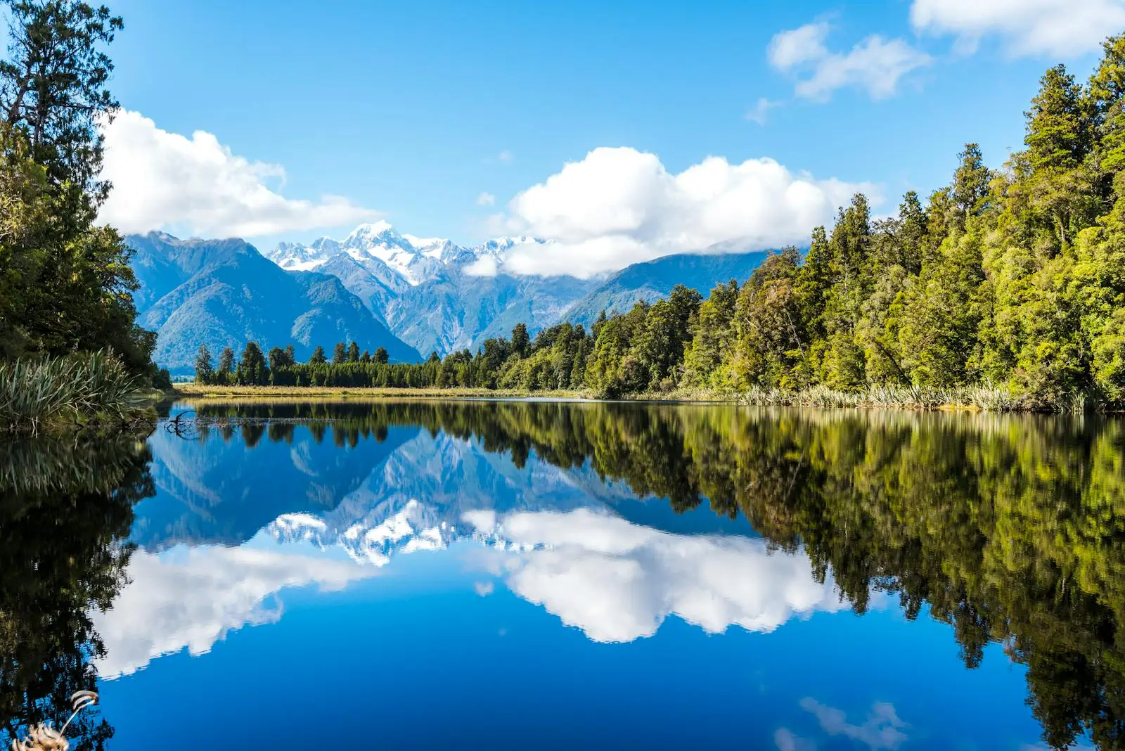 Ruhige Naturlandschaft am Wasser